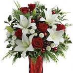 Christmas Lilies - New